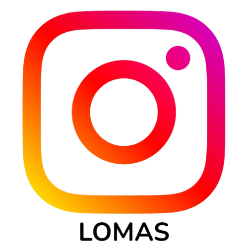 Instagram Colegio